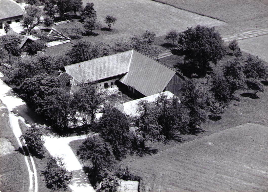 reiterhof-piesing-Familienurlaub-Reiturlaub-Pichler