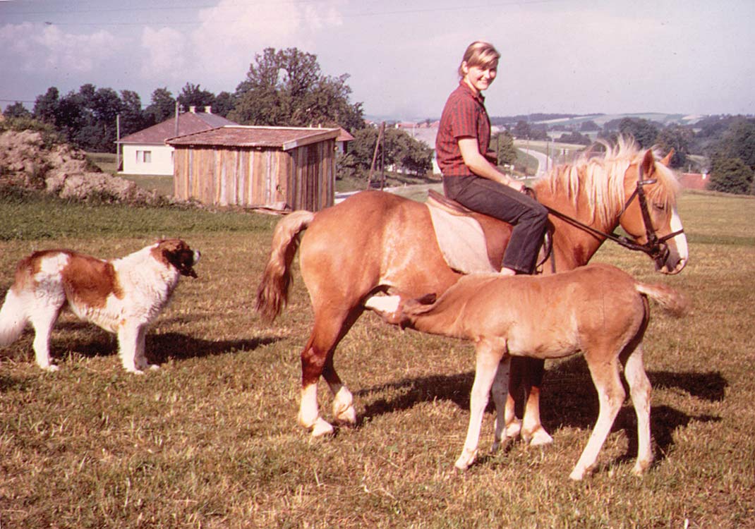 Reiten im Gasthof-Reiterhof Pichler. Reitlehrerin Rosi.